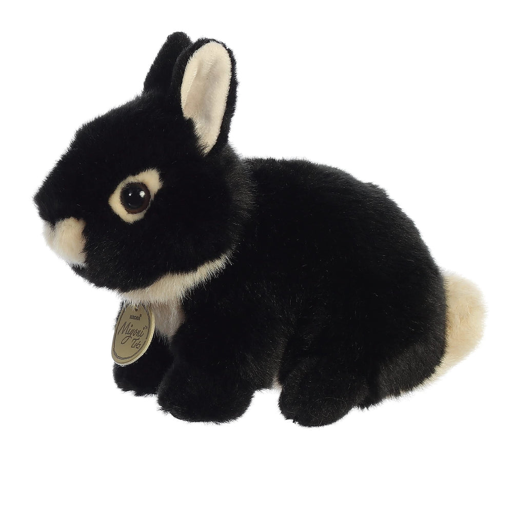 Hang tag on Miyoni Tots Netherland Dwarf Bunny with species information
