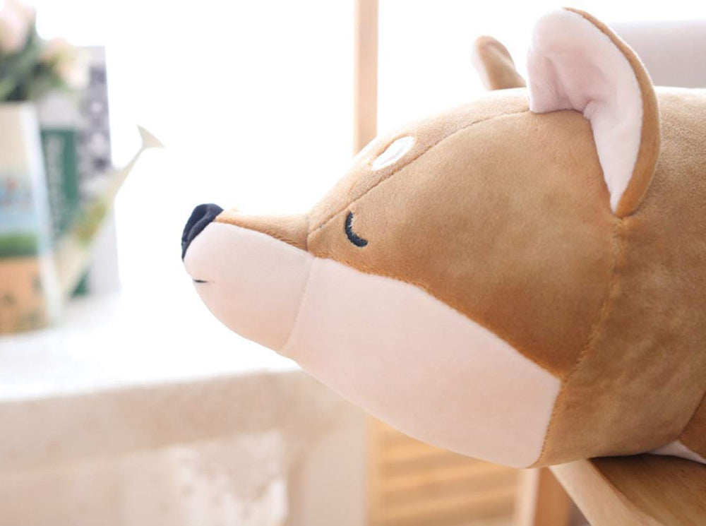 Auspicious Beginning Shiba Inu plush used as a reading companion and decor piece