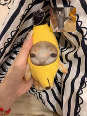 Babylounger two-pack banana cat plush gifts for kids and fans