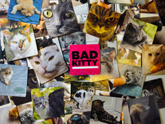 Bad Kitty meme pairings spark hilarious captions and laughs