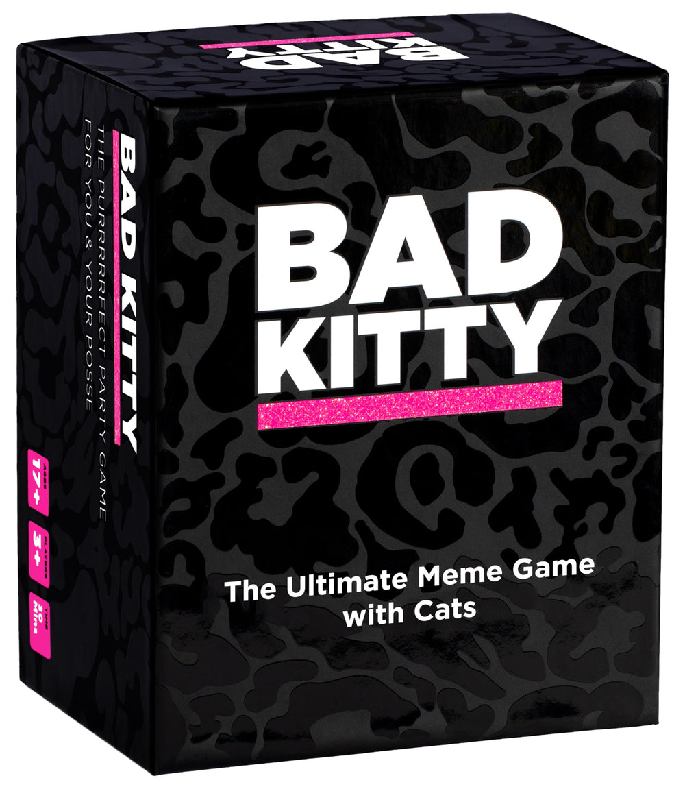Bad Kitty party game setup for group, ready to start a laughter-filled night.