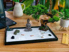BangBangDa bonsai tree miniature enhances quiet corners of home or office