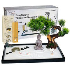 BangBangDa Zen Garden Kit on desktop for focused relaxation and mindful break