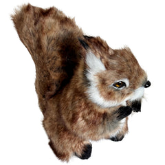 Basuo-9Q closeup dark tipped ears detail