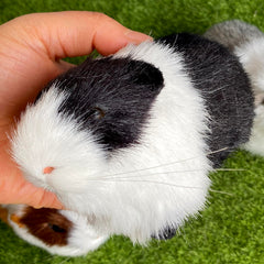 Basuo-9Q guinea pig plush figurine adds playful touch to kids room.