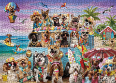 BBOLDIN Beach Dogs poster included for vibrant home decor inspiration.