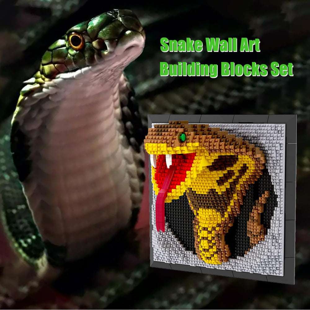 BDYDT Snake Room Display setup enhances living spaces