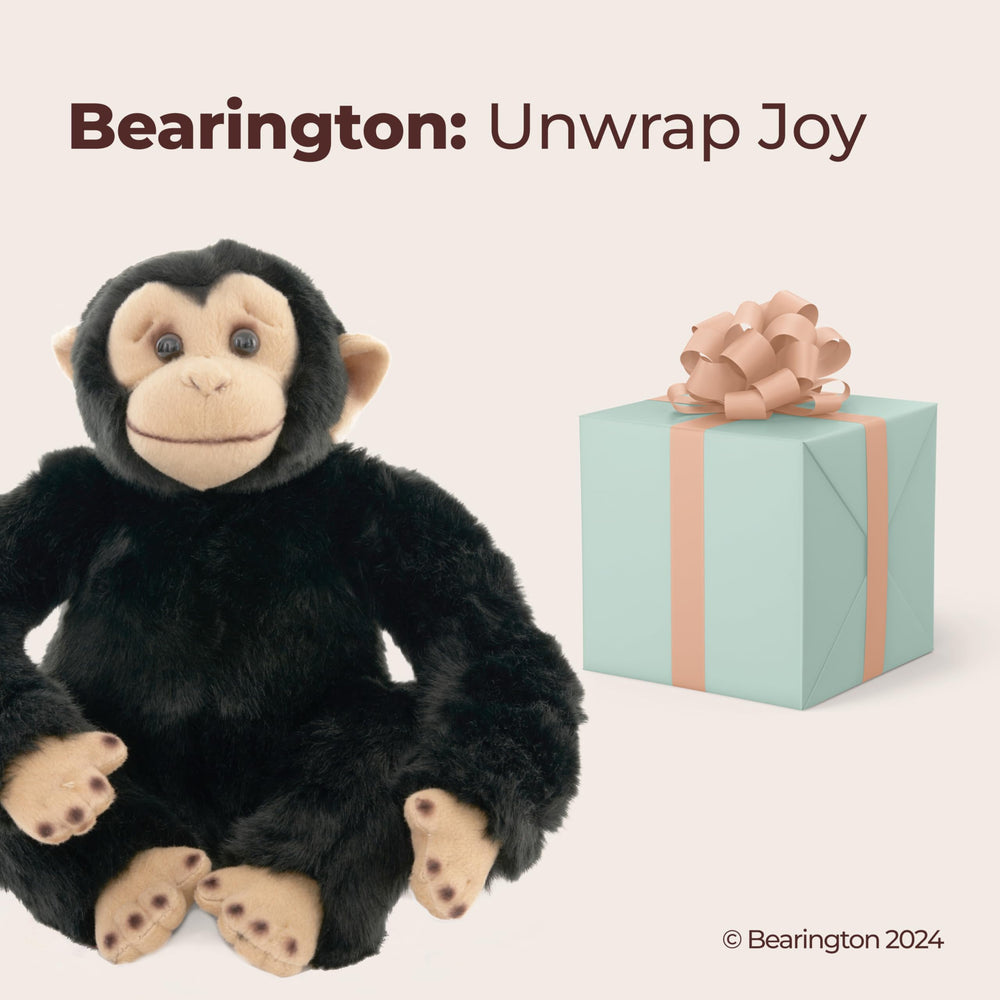 Gift-ready packaging for Bing the plush, perfect for birthdays or holidays