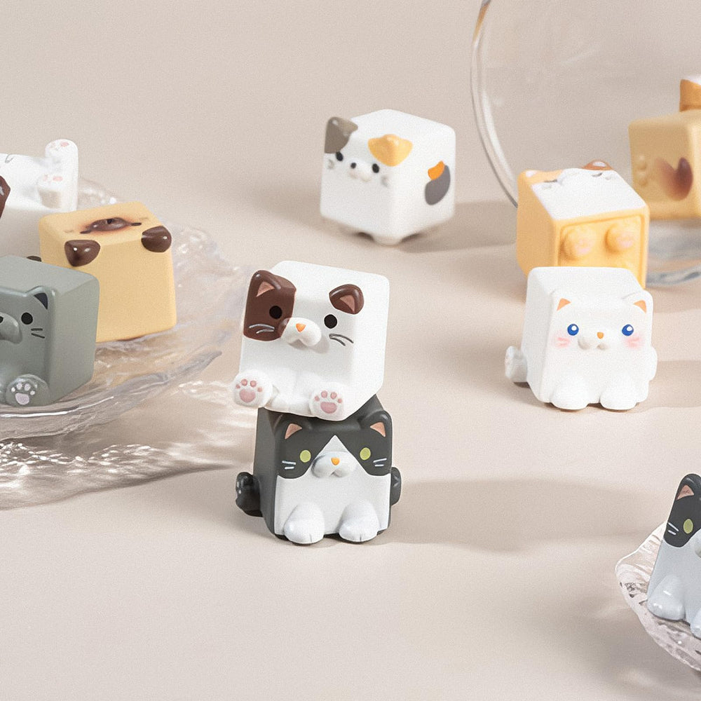 Beemai Square Cat Series decor ideas for desks, shelves, and cars.