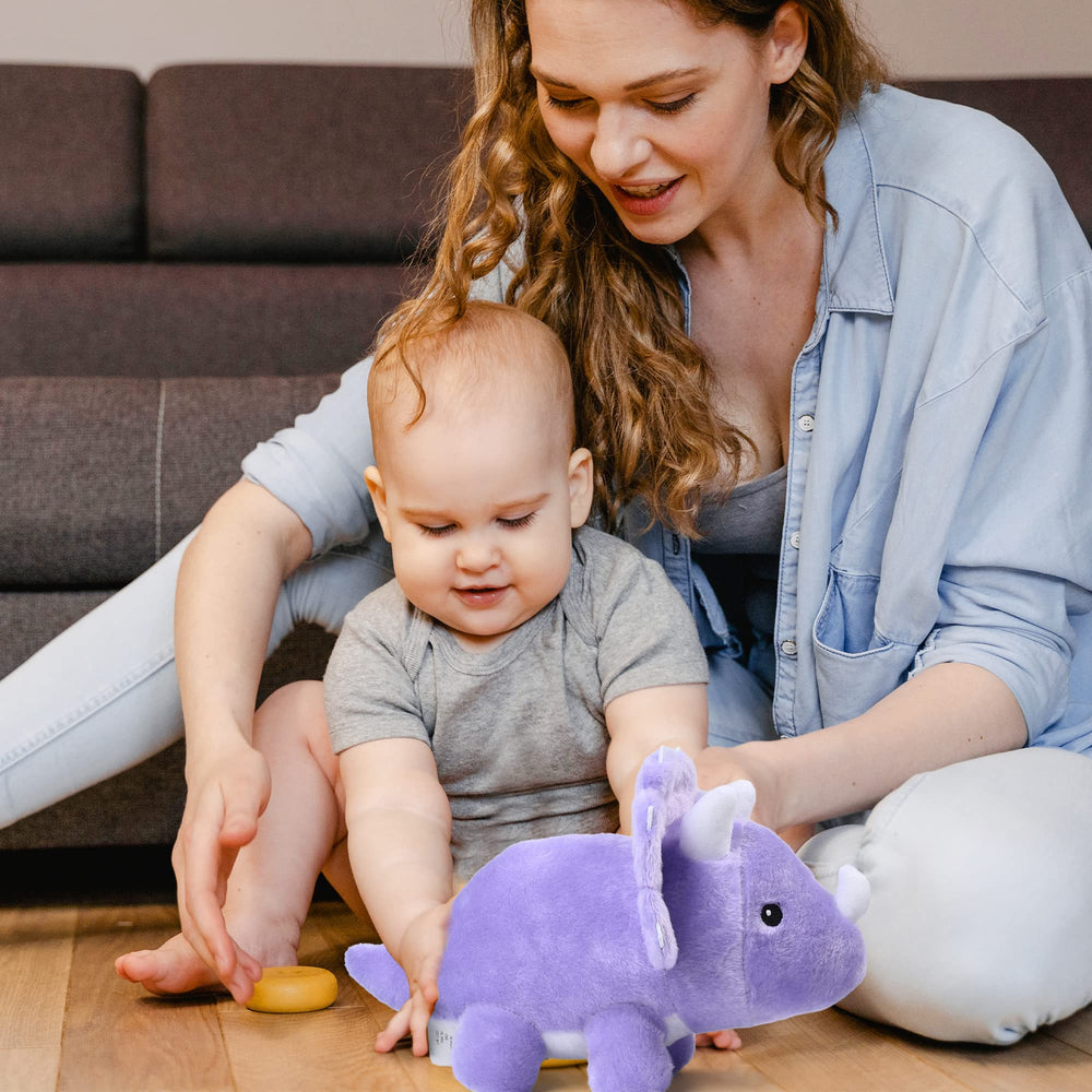 BenBen dinosaur plush gift-ready packaging for birthdays
