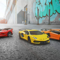 BEZGAR Lambo 1:24 RC car packaging with remote and user guide