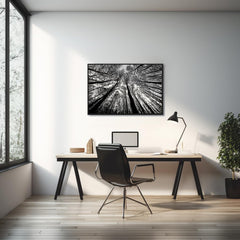 Bgraamiens forest assembly progress showing black and white tones promotes calm focus.