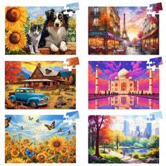 Biarek vibrant senior-friendly designs promote visual engagement.