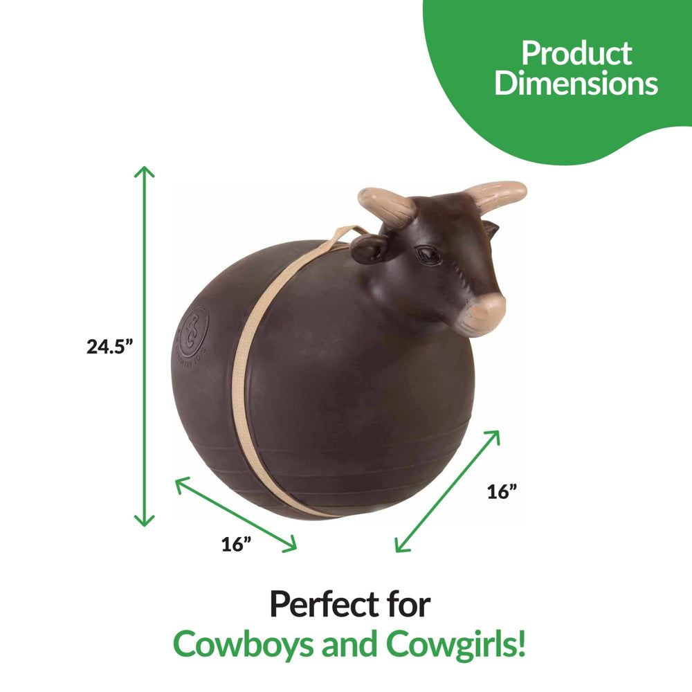 Big Country Toys Bouncy Bull rope and assembly for easy setup and secure play.