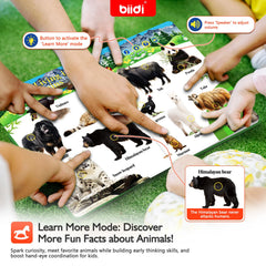 Biidi tear-resistant pages withstand rough handling for durable toddler use.