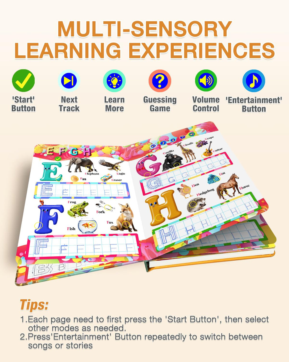 Biidi wipe-clean laminated pages with dry-erase pen.