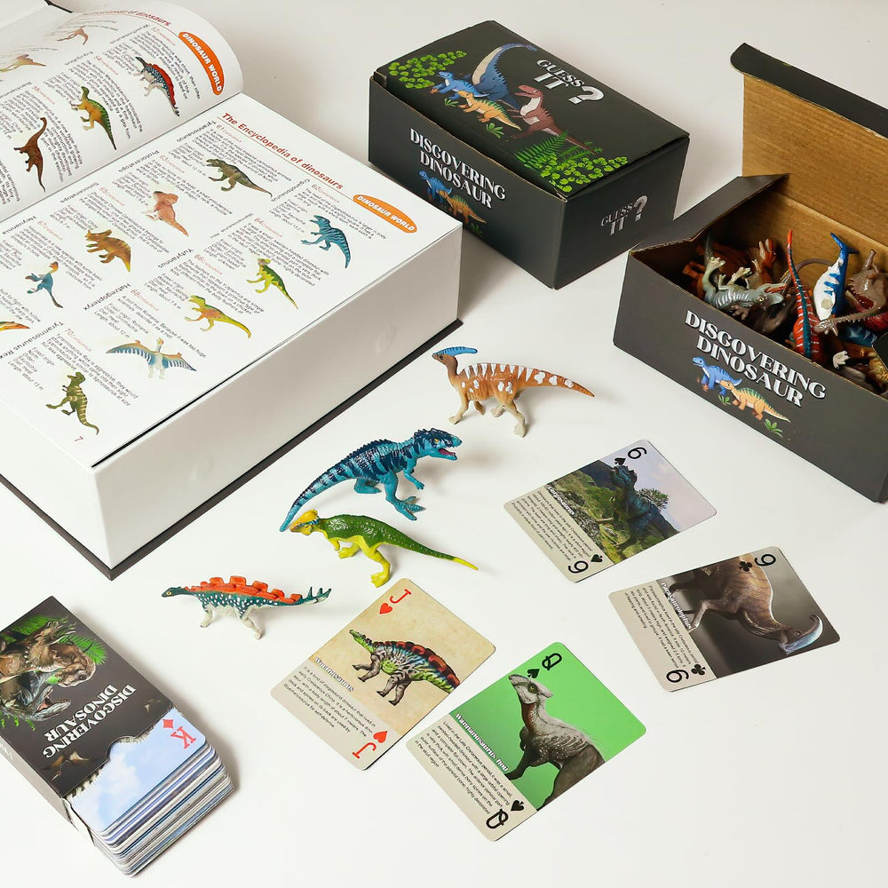 BIWASE dinosaur book back cover inviting visuals for exploration