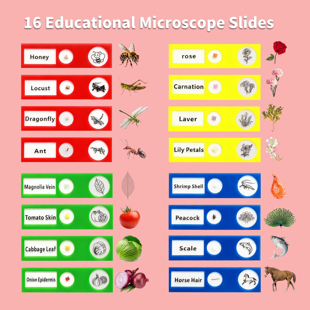 BLACKROOT Portable design fits small hands for outdoor learning.