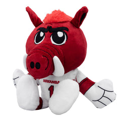 Perfect gift for Razorbacks fans of all ages.