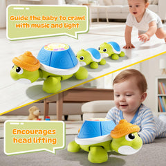 BLF FUN baby turtles chase mommy, encouraging active movement for motor skill practice