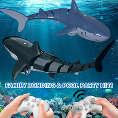 BLmukce multi-user play lets several sharks race together