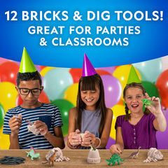 Blue Marble Dinosaur Dig Kit: learning guide clarifies species and fuels curiosity
