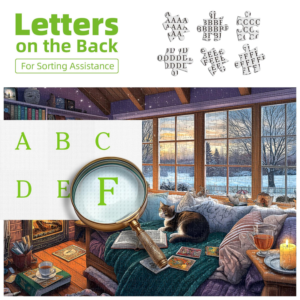Blueforest Read Room Puzzle bookshelves and fireplace create a cozy family-friendly challenge.
