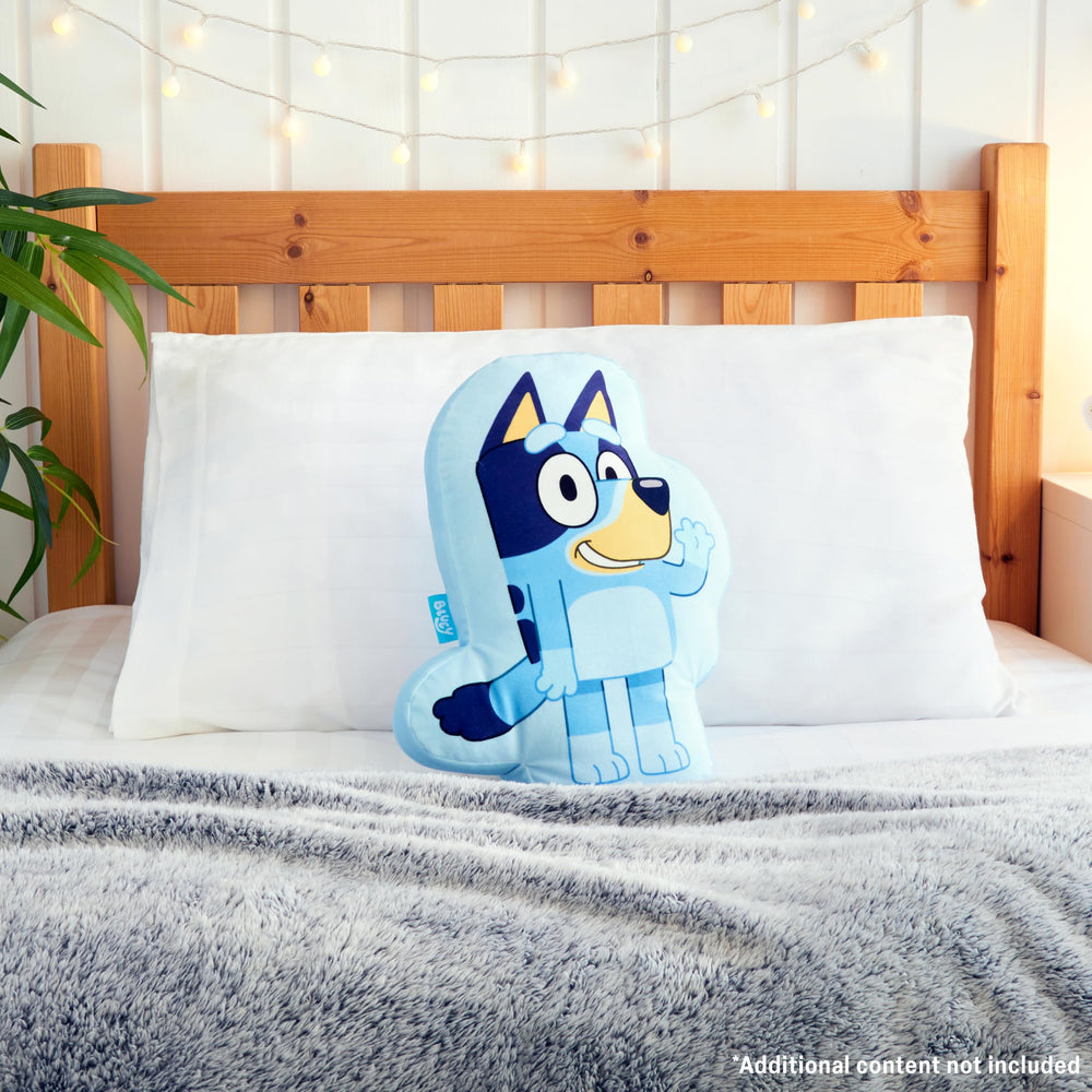 Bluey 3D plush pillow gift idea for kids' birthdays.
