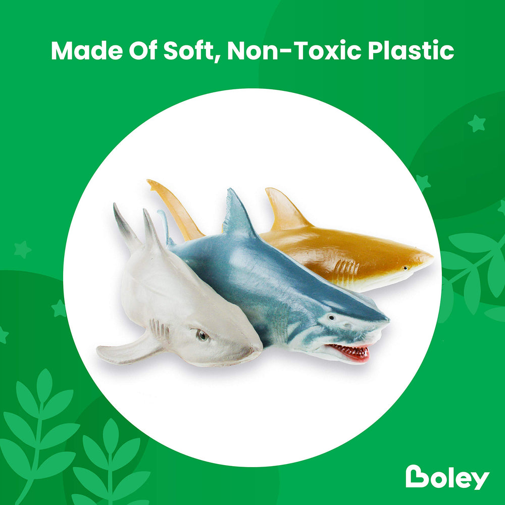Boley shark explorer guide included for fun shark facts and discovery.