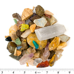 Boone's Mill paydirt fossil specimen uncovered in the mix.