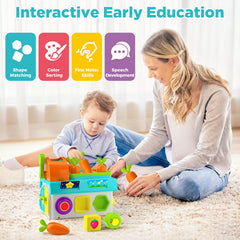 BQU spinning blocks promoting hand-eye coordination and pattern matching.