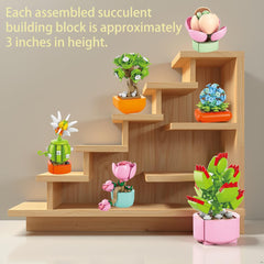 BRICHBROW independent packaging makes gifting these succulent blocks easy.