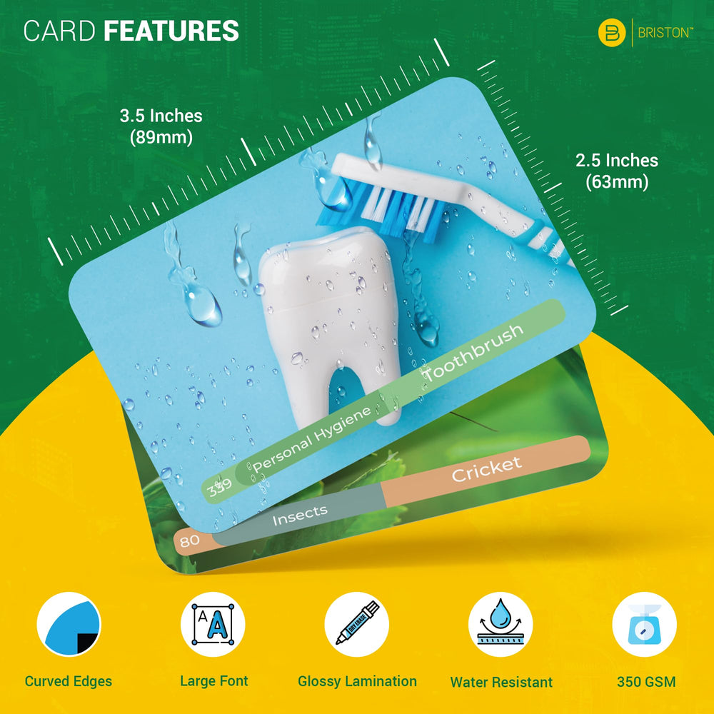 Briston Spanish flash cards everyday objects with large text for quick recall