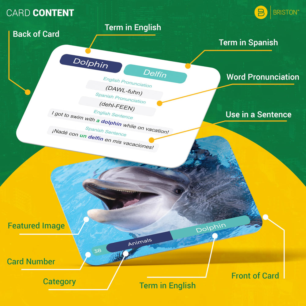 Briston Spanish flash cards foods with pronunciation for daily use