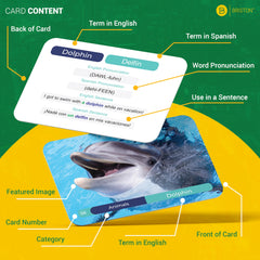 Briston Spanish flash cards foods with pronunciation for daily use