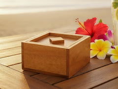 BSIRI Treasure Secret Box unboxing experience promises intrigue and delight