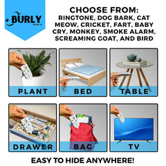 Burly Effects prankster adhesive-back demonstrates stealthy placement for pranks.