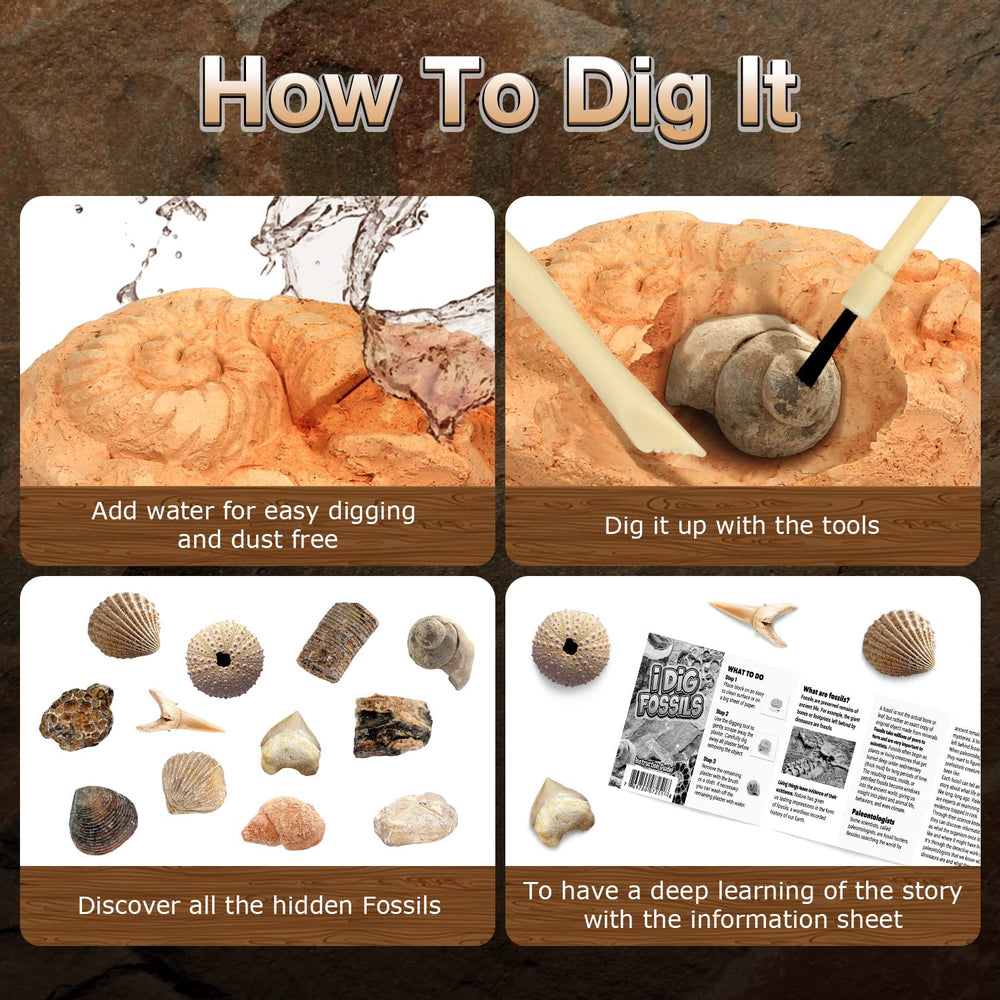 Byncceh Fossil Dig Kit makes a great gift for curious kids