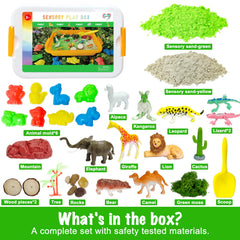 Carolart Wild Forest Sandbox scene featuring green sand and natural textures for sensory play