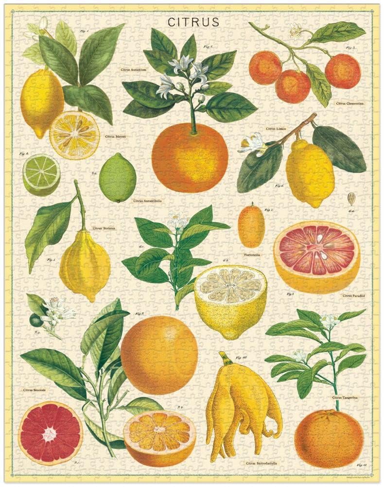 Cavallini citrus puzzle muslin bag image invites careful storage and shareable unboxing.