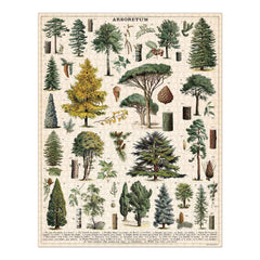CAVANILLI CO Arboretum puzzle box in a tube, great for gifting and easy storage.