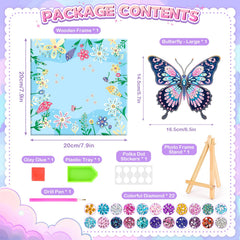 Celecstan butterfly diamond art display ready for desk or shelf