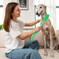 Ceonam giant toothbrush prop duo set adds bold decor and laughs.