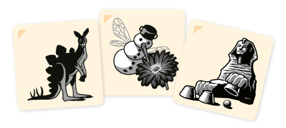 CGE Codenames: Pictures storage case keeps cards organized between sessions