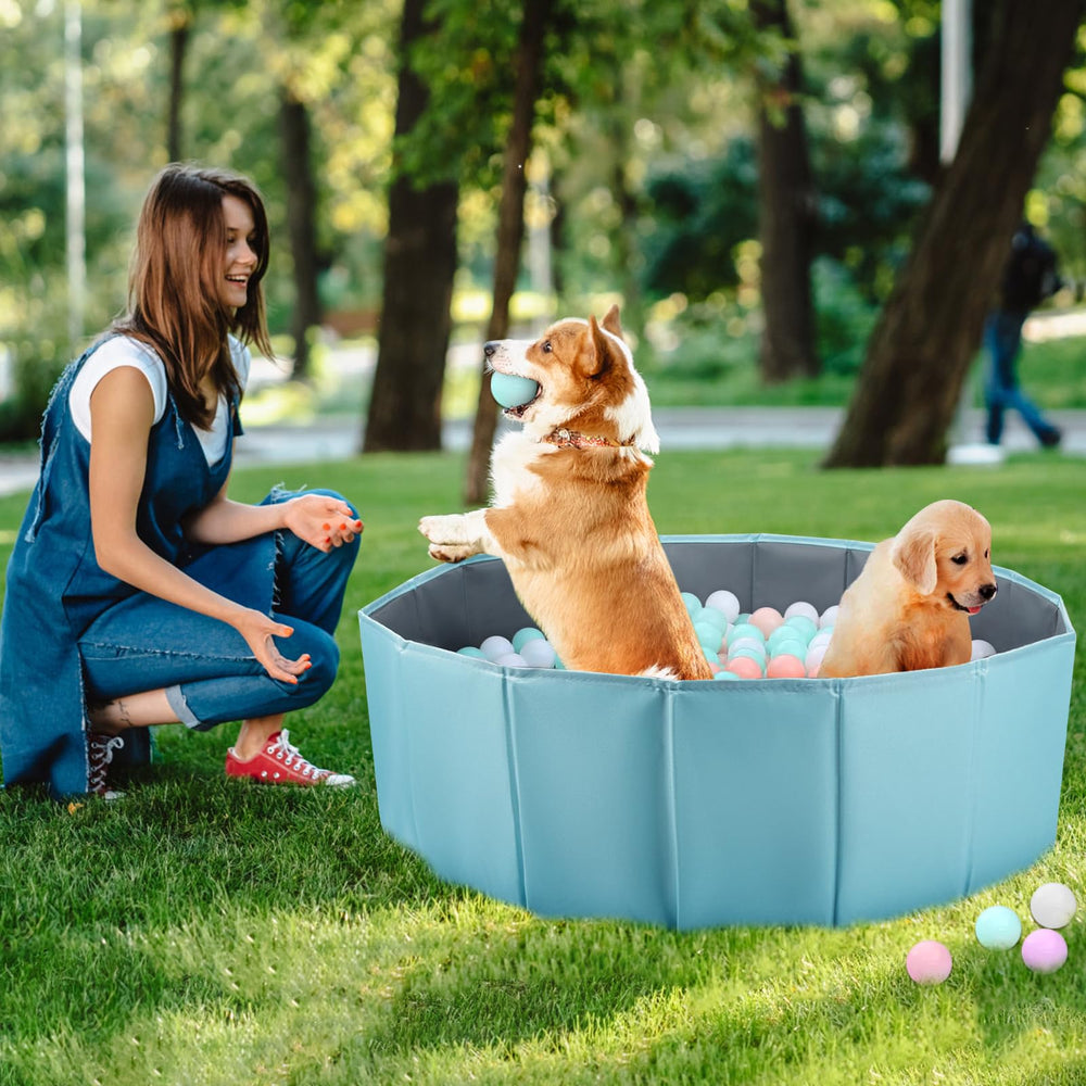 ChengFu dog ball pit encourages bonding and fun during sessions.