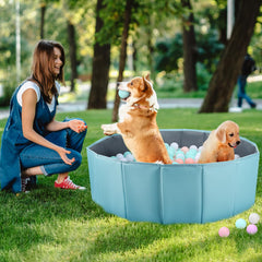 ChengFu dog ball pit encourages bonding and fun during sessions.