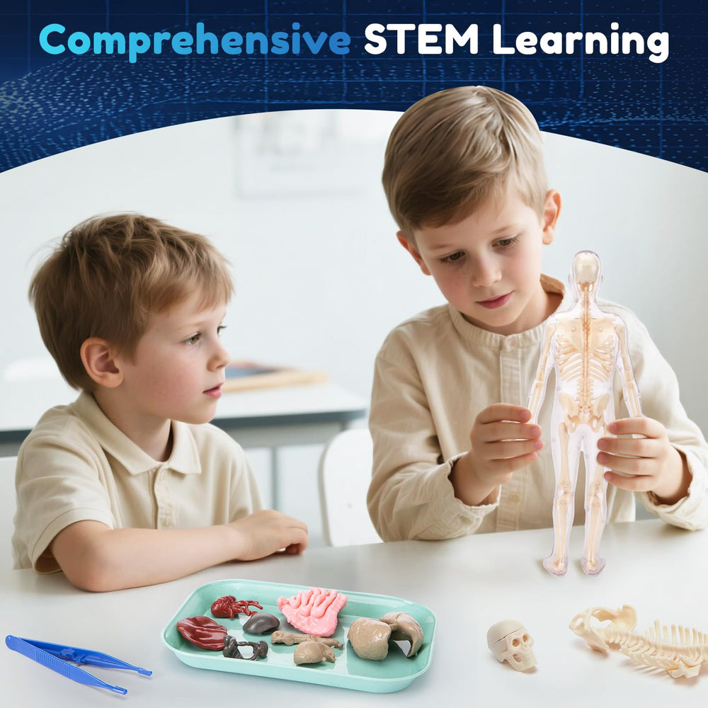 CHMYWJ instruction guide offers clear anatomy details for guided learning.
