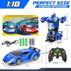 Chridark car with omnidirectional wheels enabling smooth drifts