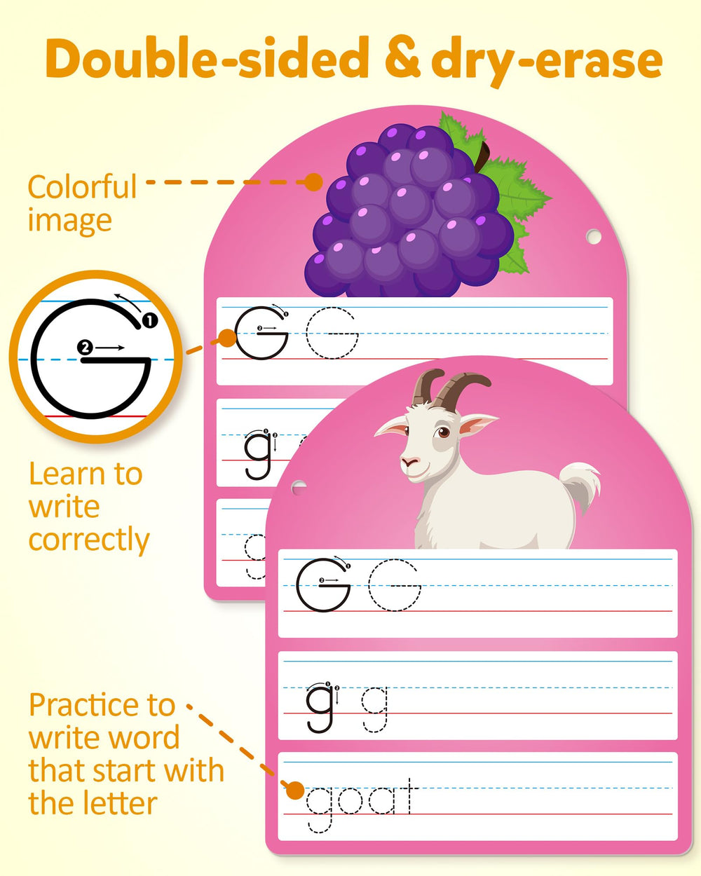 Coogam Dry-Erase Markers provide erasable writing for quick feedback during lessons.