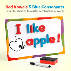 Coogam two-color lowercase and uppercase magnets separated by color.